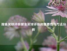 现金买球评级现金买球评级的重要性与方法分析