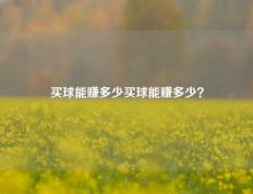 买球能赚多少买球能赚多少？