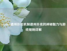 wepoker德州扑克机制德州扑克的神秘魅力与游戏规则详解