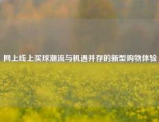 网上线上买球潮流与机遇并存的新型购物体验