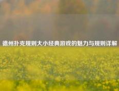 德州扑克规则大小经典游戏的魅力与规则详解