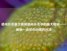 德州扑克最大赌局德州扑克中的最大赌局——揭秘一场惊心动魄的对决