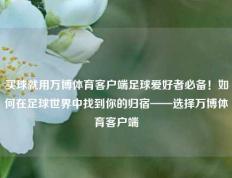 买球就用万博体育客户端足球爱好者必备！如何在足球世界中找到你的归宿——选择万博体育客户端