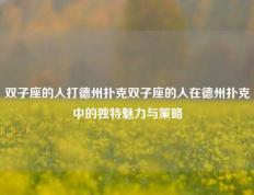 双子座的人打德州扑克双子座的人在德州扑克中的独特魅力与策略