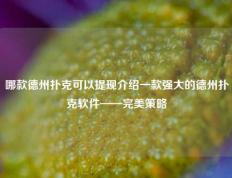 哪款德州扑克可以提现介绍一款强大的德州扑克软件——完美策略