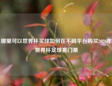哪里可以世界杯买球如何在不同平台购买2026年世界杯足球赛门票