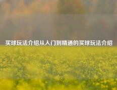 买球玩法介绍从入门到精通的买球玩法介绍