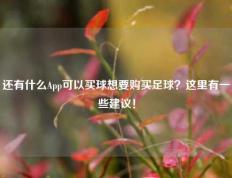 还有什么App可以买球想要购买足球？这里有一些建议！