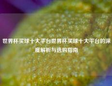世界杯买球十大平台世界杯买球十大平台的深度解析与选购指南