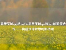 意甲买球app相45yb in意甲买球app与45yb的深度合作——构建足球梦想的新桥梁