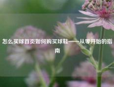 怎么买球首页如何购买球鞋——从零开始的指南