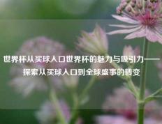 世界杯从买球入口世界杯的魅力与吸引力——探索从买球入口到全球盛事的转变