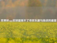 世界杯app买球提现不了寻找乐趣与挑战的盛宴
