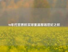 90年代世界杯买球重温那场世纪之杯