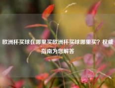 欧洲杯买球在哪里买欧洲杯买球哪里买？权威指南为您解答