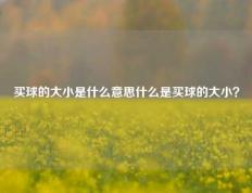 买球的大小是什么意思什么是买球的大小？