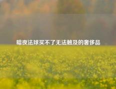 暗夜法球买不了无法触及的奢侈品