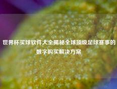 世界杯买球软件大全揭秘全球顶级足球赛事的数字购买解决方案