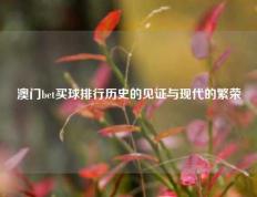 澳门bet买球排行历史的见证与现代的繁荣