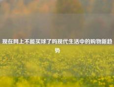 现在网上不能买球了吗现代生活中的购物新趋势
