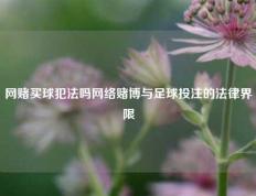 网赌买球犯法吗网络赌博与足球投注的法律界限