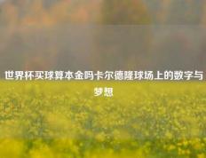 世界杯买球算本金吗卡尔德隆球场上的数字与梦想