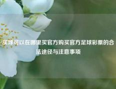 买球可以在哪里买官方购买官方足球彩票的合法途径与注意事项