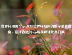 世界杯用哪个app买球世界杯期间的数字消费指南，选择合适的App购买足球比赛门票