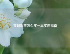 买球彩票怎么买一本实用指南