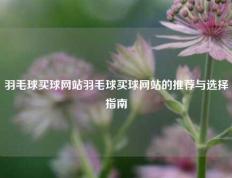 羽毛球买球网站羽毛球买球网站的推荐与选择指南