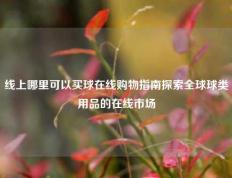 线上哪里可以买球在线购物指南探索全球球类用品的在线市场