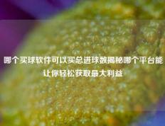 哪个买球软件可以买总进球数揭秘哪个平台能让你轻松获取最大利益