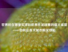 世界杯在哪里买球彩世界杯足球赛的盛大盛宴——如何在各大城市购买球彩