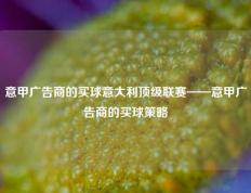 意甲广告商的买球意大利顶级联赛——意甲广告商的买球策略