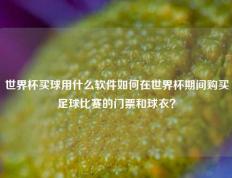 世界杯买球用什么软件如何在世界杯期间购买足球比赛的门票和球衣？