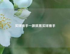 买球推手一跟就黑买球推手