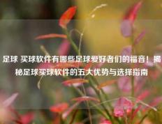 足球 买球软件有哪些足球爱好者们的福音！揭秘足球买球软件的五大优势与选择指南