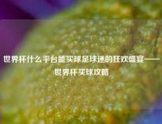 世界杯什么平台能买球足球迷的狂欢盛宴——世界杯买球攻略