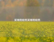 买球的经历买球的经历
