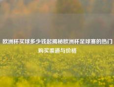 欧洲杯买球多少钱起揭秘欧洲杯足球赛的热门购买渠道与价格