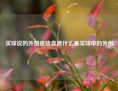 买球说的外围是啥意思什么是买球中的外围
