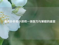 德州扑扑克小游戏一场智力与策略的盛宴