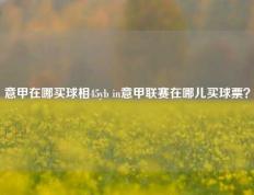 意甲在哪买球相45yb in意甲联赛在哪儿买球票？