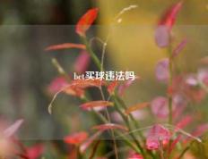 bet买球违法吗
