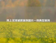 网上买球被抓案例图片一例典型案例
