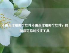外围买球用哪个软件外围买球用哪个软件？揭秘最可靠的投注工具
