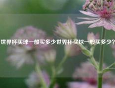 世界杯买球一般买多少世界杯买球一般买多少？
