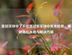 皇冠买球中了不结算冠军买球中奖未结算，揭秘背后真相与解决方案