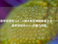 意甲买球中 63yb丶cn意大利足球的盛夏之光——意甲买球中63yb.cn的魅力所在