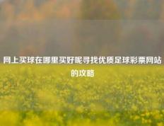 网上买球在哪里买好呢寻找优质足球彩票网站的攻略